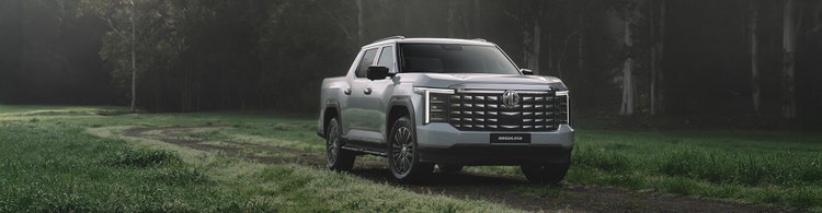 MG U9 front exterior on the grassland.