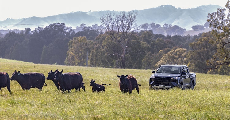 Toyota HiLux exterior front view. Contact Maxxia novated lease team today for a Toyota HiLux novated lease.