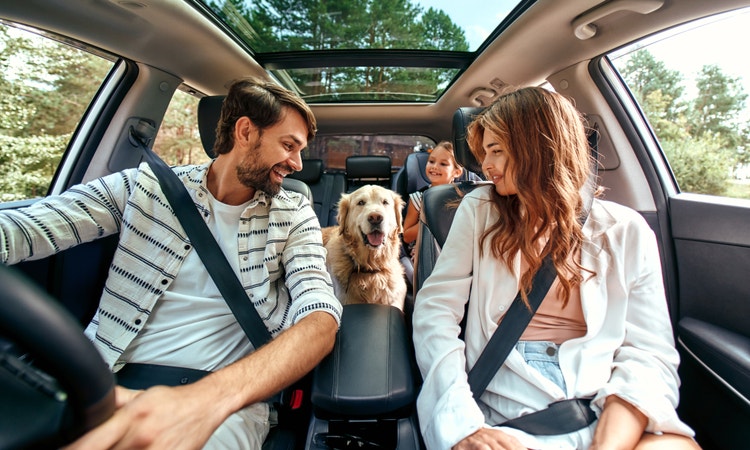A family with their dog looking happy sitting in their big family car. Find out how you could salary package the Maxxia way.