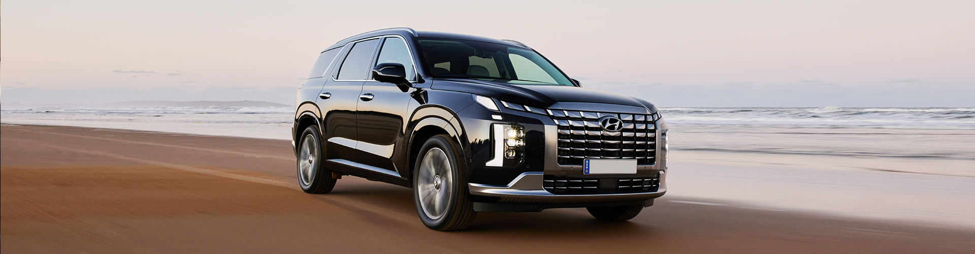 2023 Hyundai Palisade side