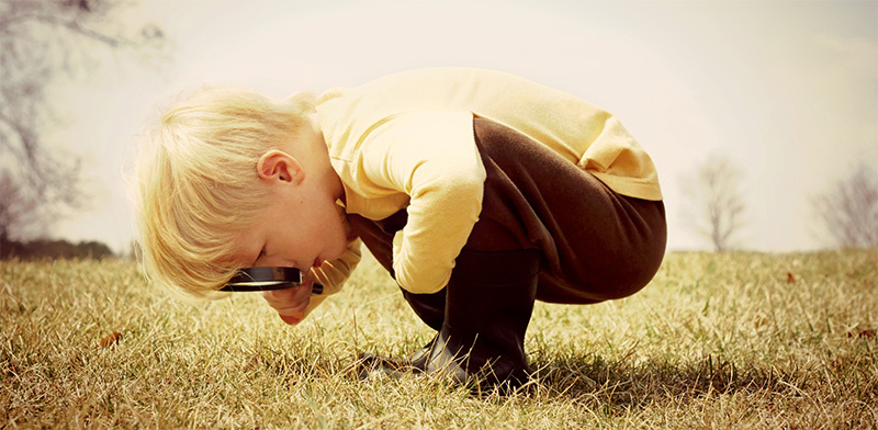Digging Deeper Into Employee Experience In Australia