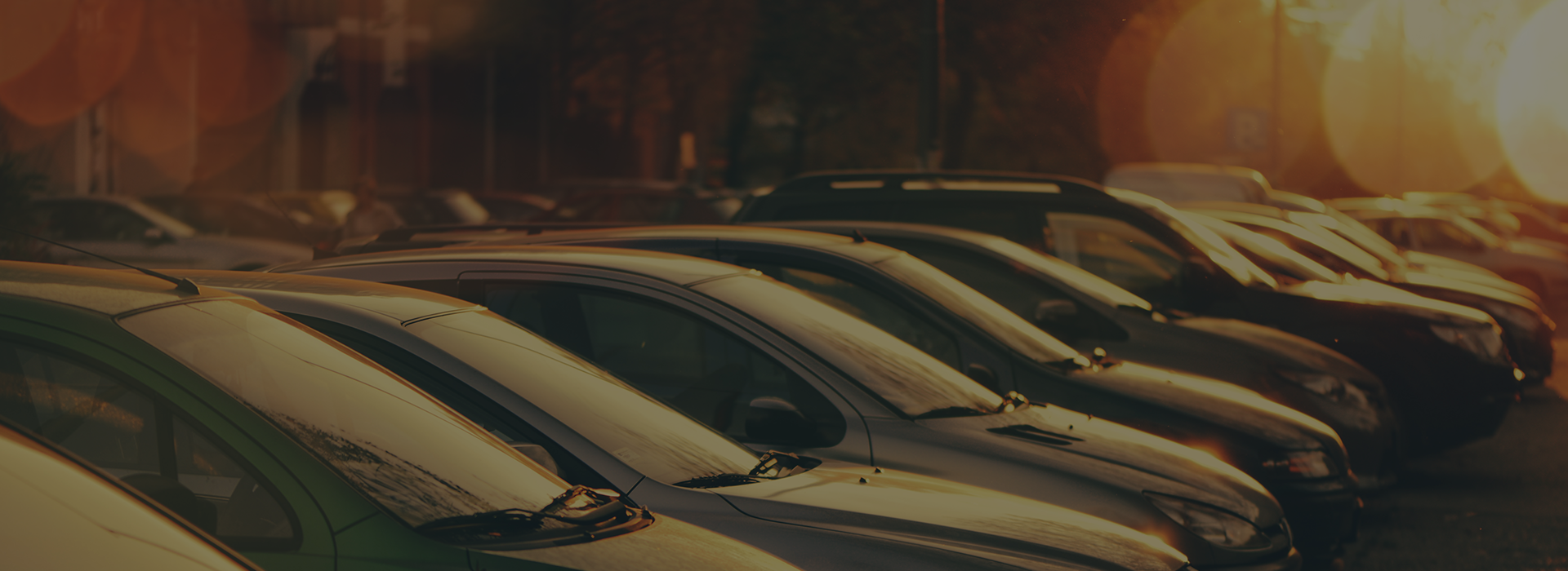 Cars parked in a row