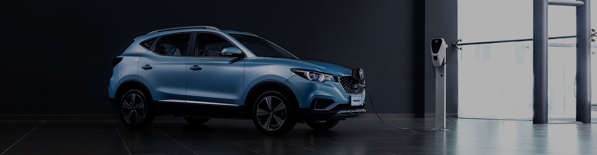 MG ZS Banner